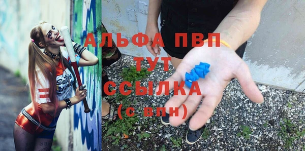 гидра Белокуриха