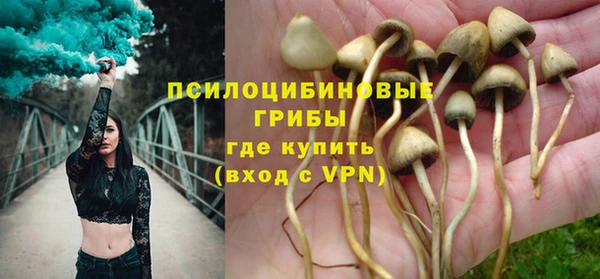 ALPHA PVP Беломорск