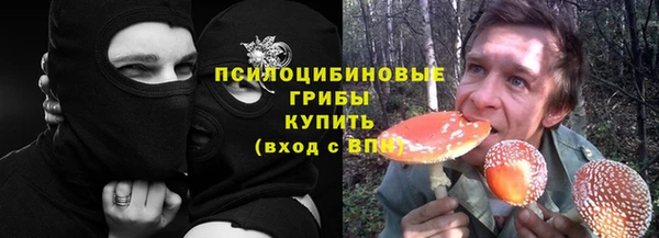 гидра Белокуриха