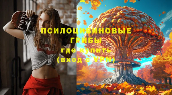 ALPHA PVP Беломорск